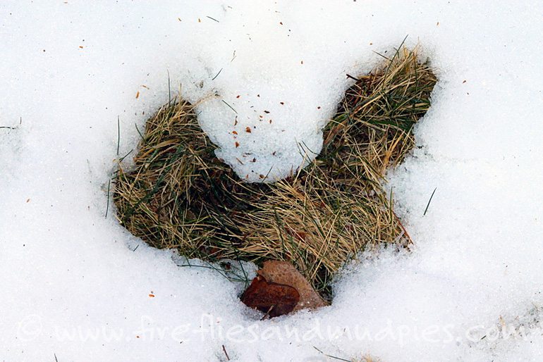 Melted Heart in Snow | Fireflies and Mud Pies