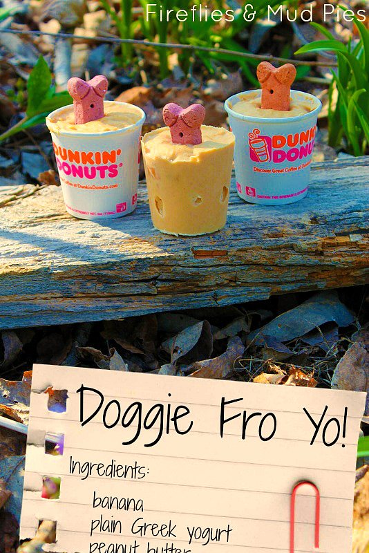 Homemade Doggie Fro Yo - Fireflies and Mud Pies