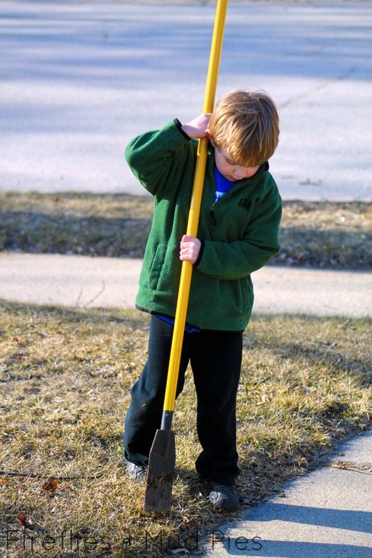 edging the driveway