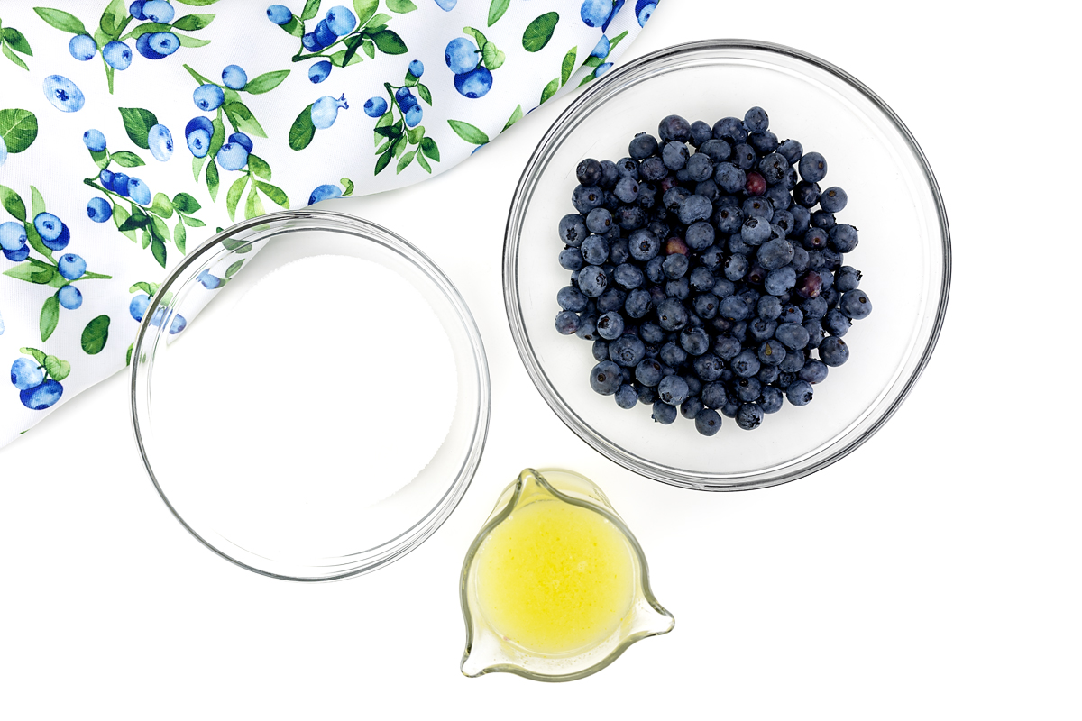 Blueberry lemonade ingredients.