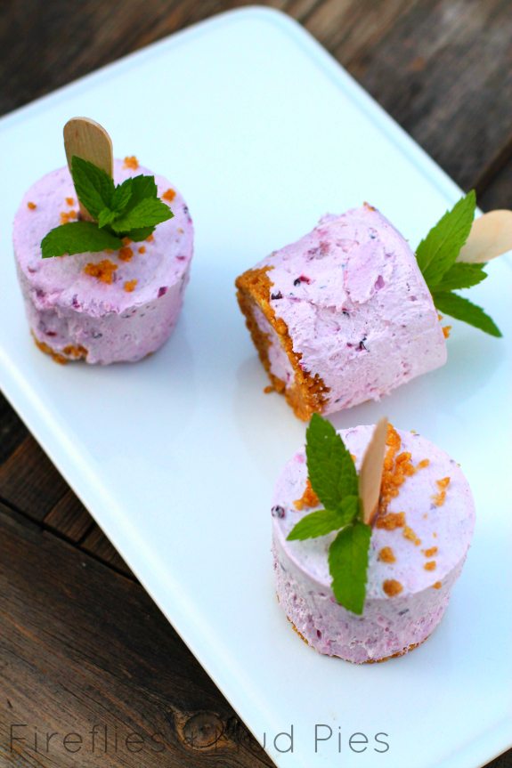 Blackberry Cheesecake Popsicles
