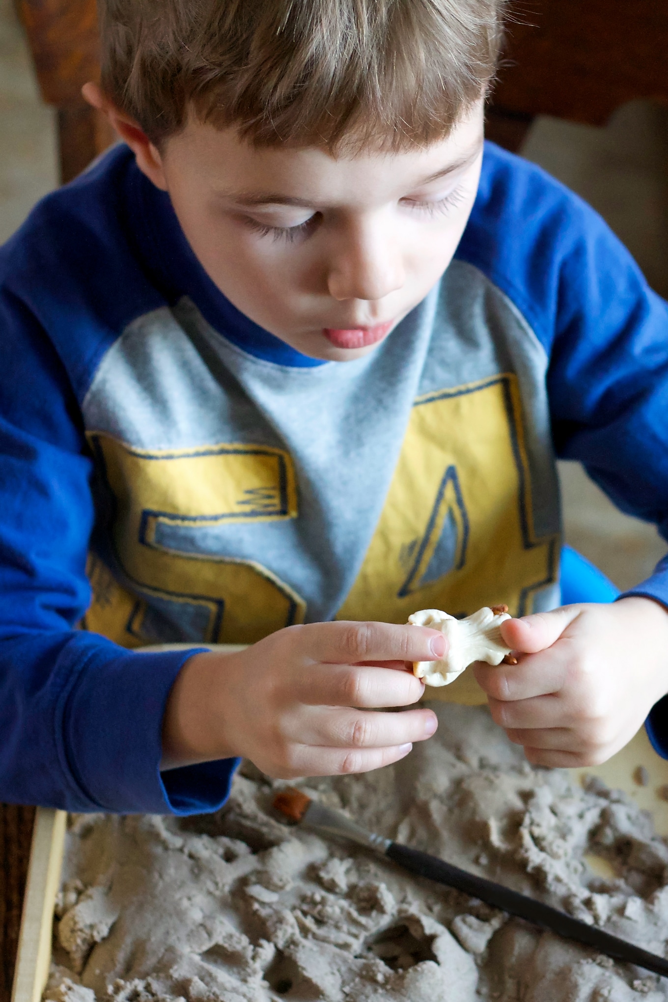 Preschooler Digging for Toy Dinosaur Skeletons