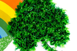 Pinterest Hidden Image