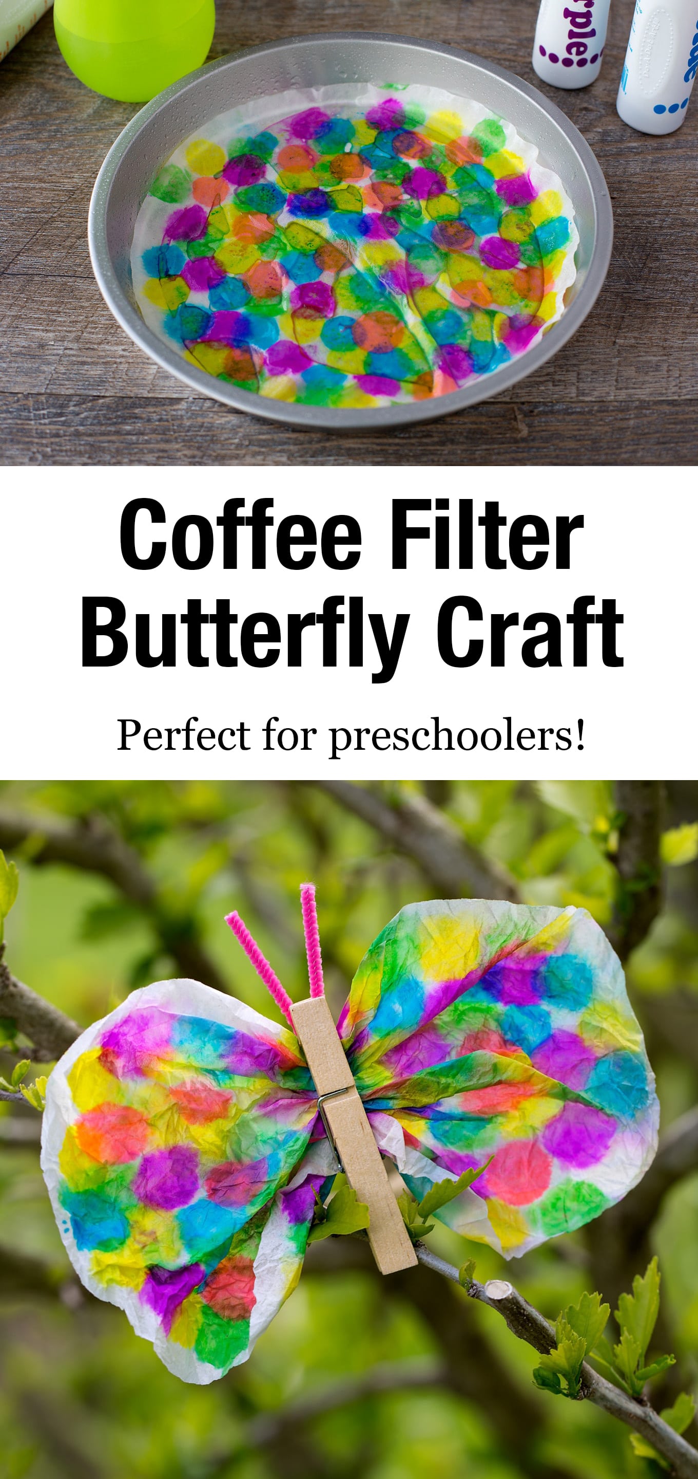 Not only is this Coffee Filter Butterfly lovely, but it is packed with fine-motor skills! Dabbing, squeezing, scrunching, pinching…it's perfect for kids! #butterflycraft #coffeefiltercraft #springcrafts #preschool via @firefliesandmudpies