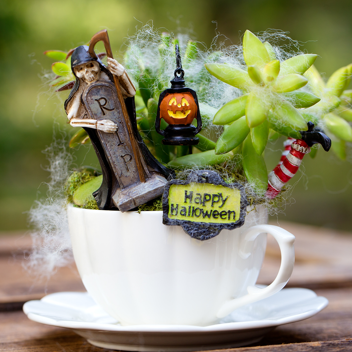 Finished Halloween fairy garden.