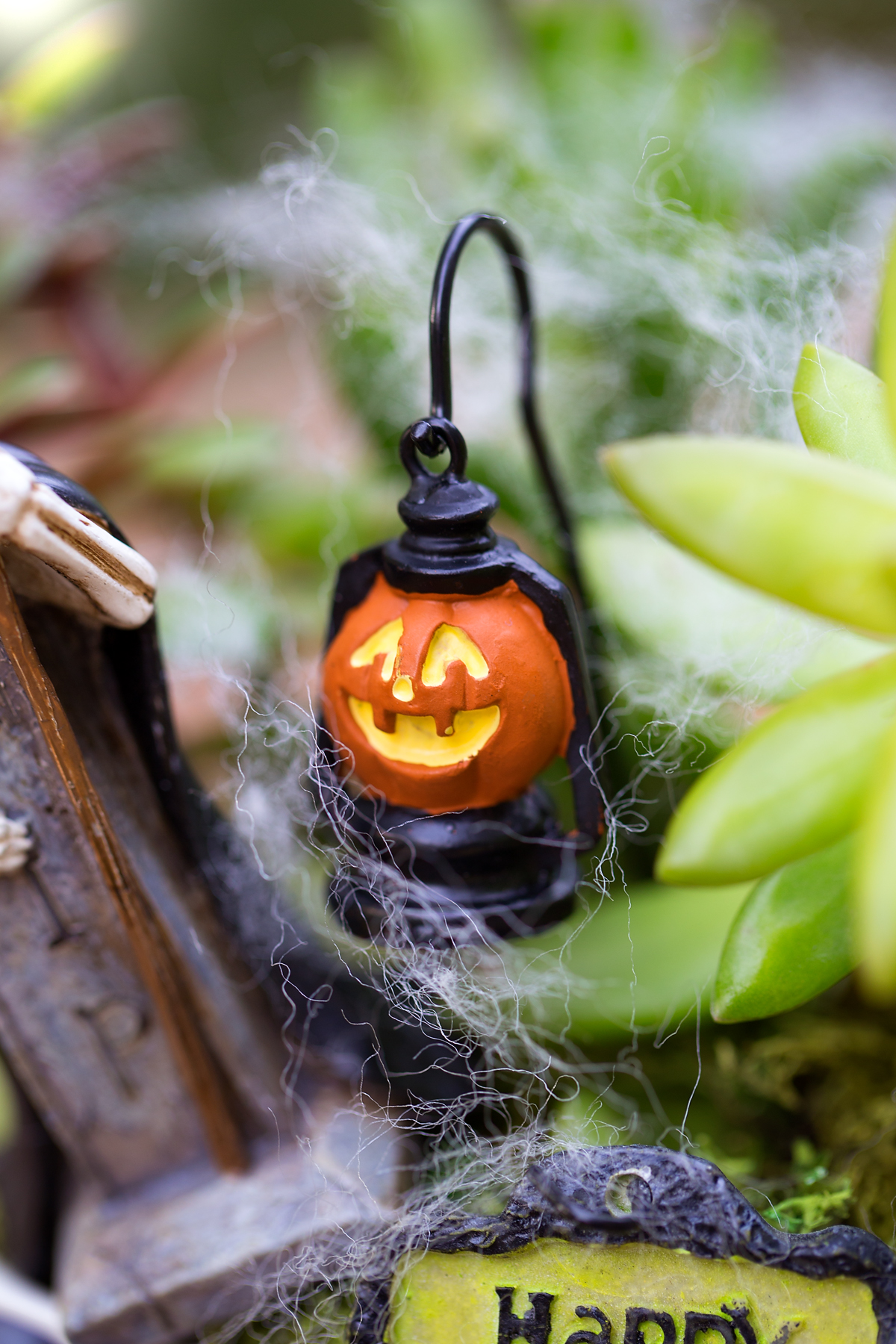 Pumpkin lantern in a Halloween teacup garden.