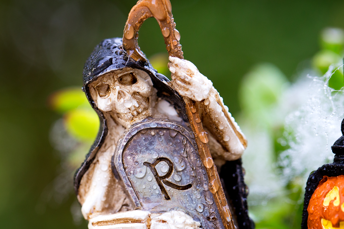 Skeleton character in Halloween teacup garden.