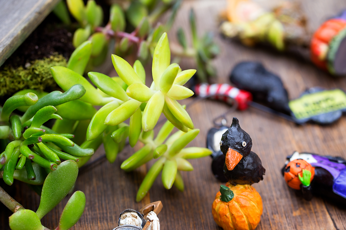 Supplies needed for Halloween fairy garden craft.