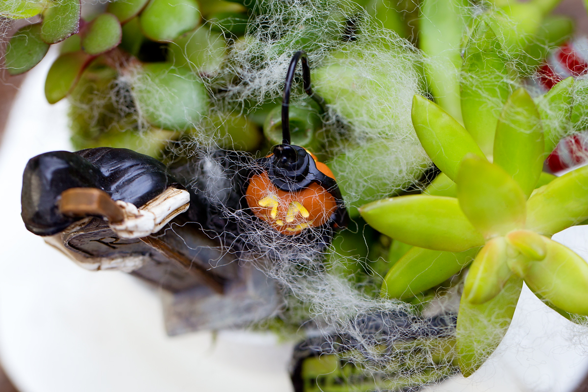 Wool roving as spiderwebs in a Halloween fairy garden.