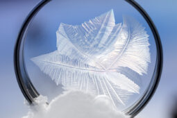 Pinterest Hidden Image