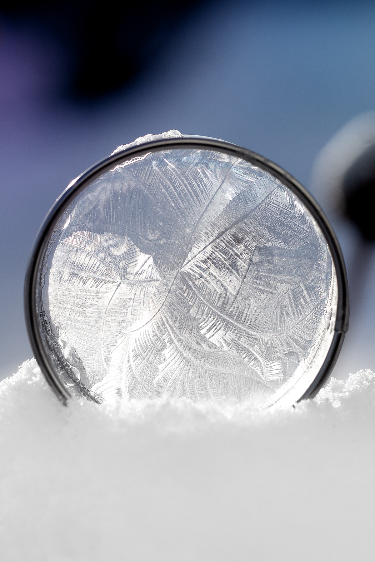 Frozen bubble film stretched across a cookie cutter with branching ice crystals.