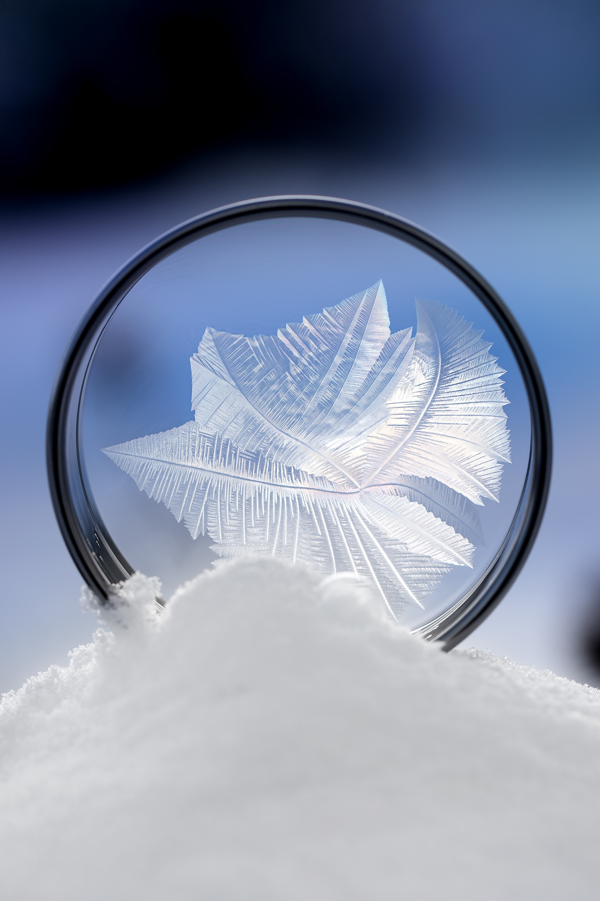 Detailed ice crystal patterns forming on a frozen bubble made with a cookie cutter.