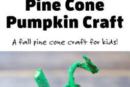 Pinterest Hidden Image