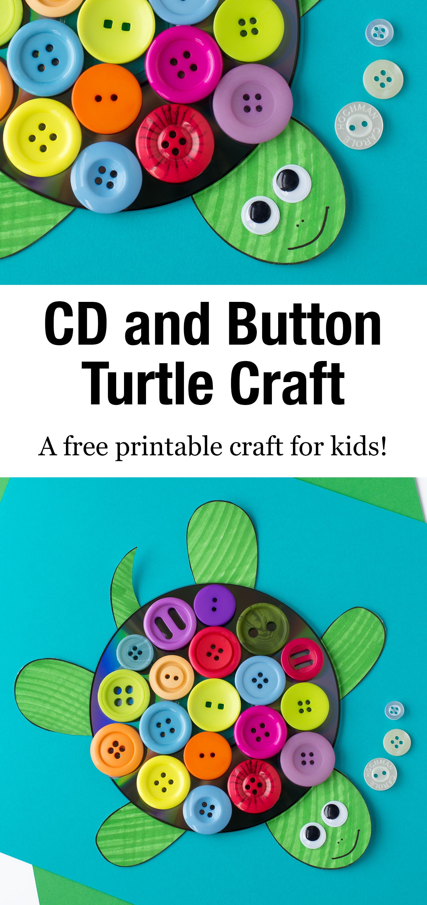 This easy and fun CD & Button Turtle Craft for kids includes a free printable turtle template, making it perfect for home or school. #turtle #craft via @firefliesandmudpies