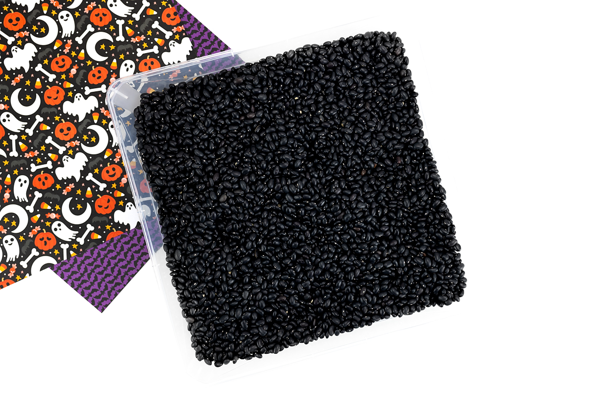Black bean filler for sensory bin.