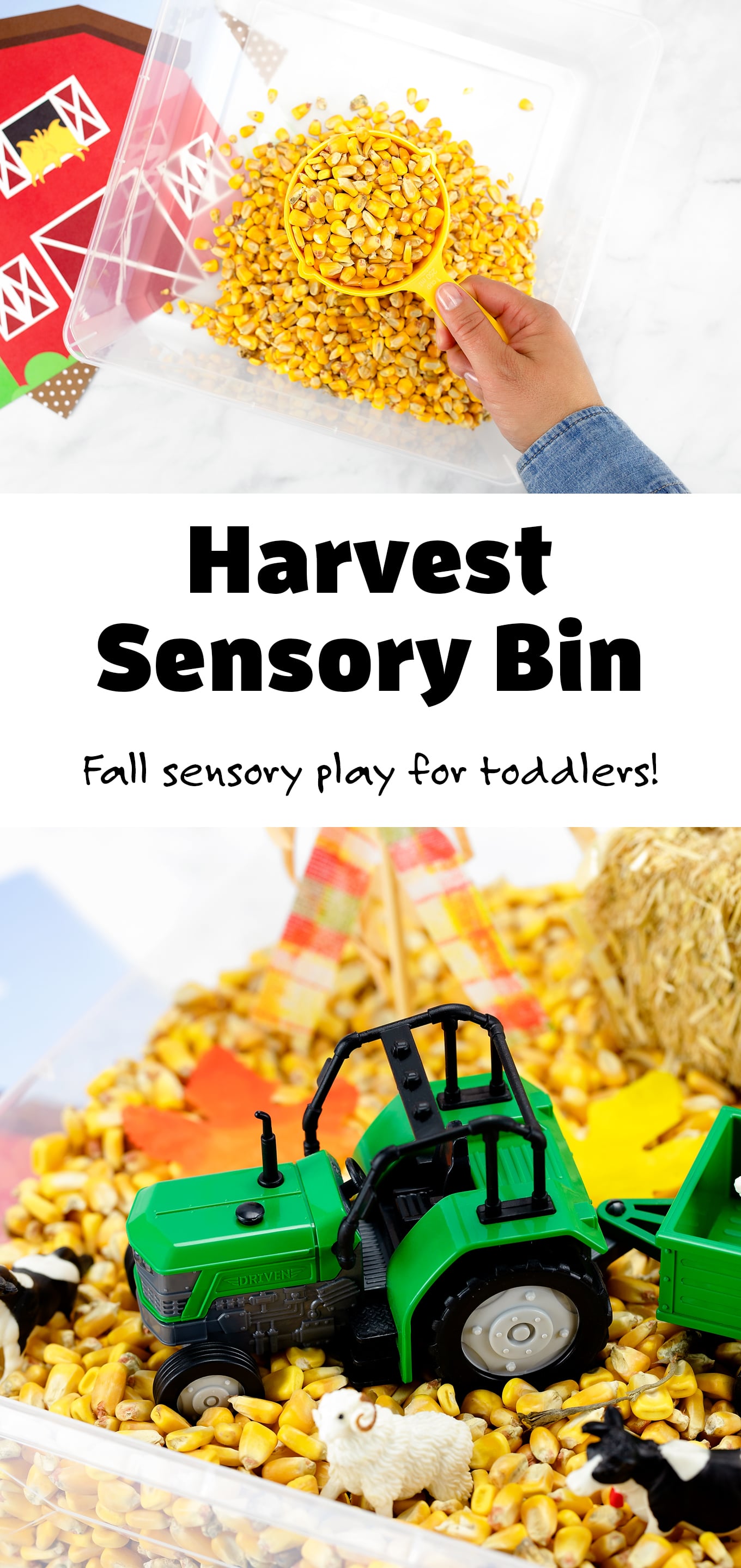 Pinterest Hidden Image