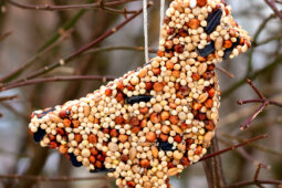 Pinterest Hidden Image