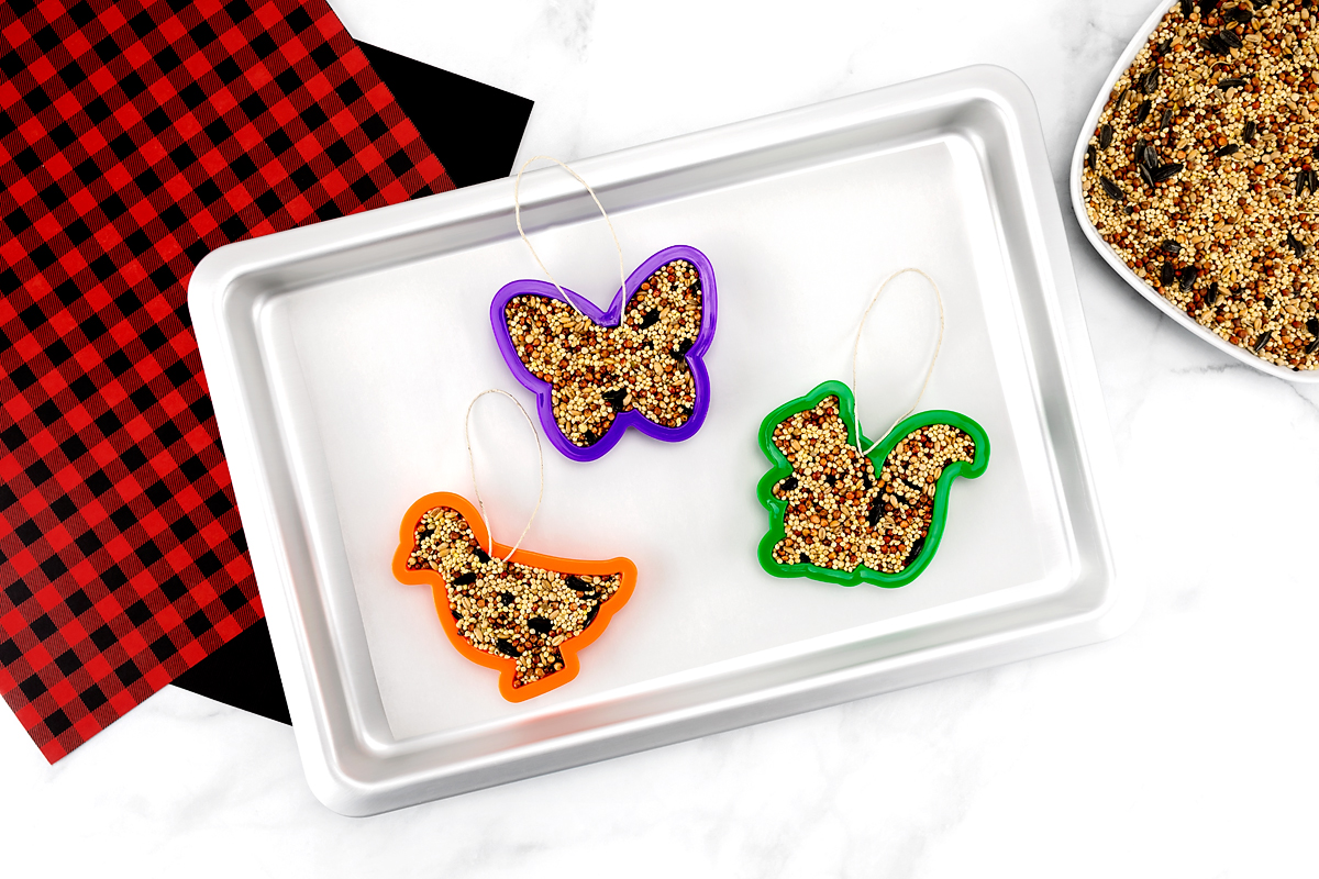 Multiple birdseed ornaments on parchment paper left to dry at room temperature.