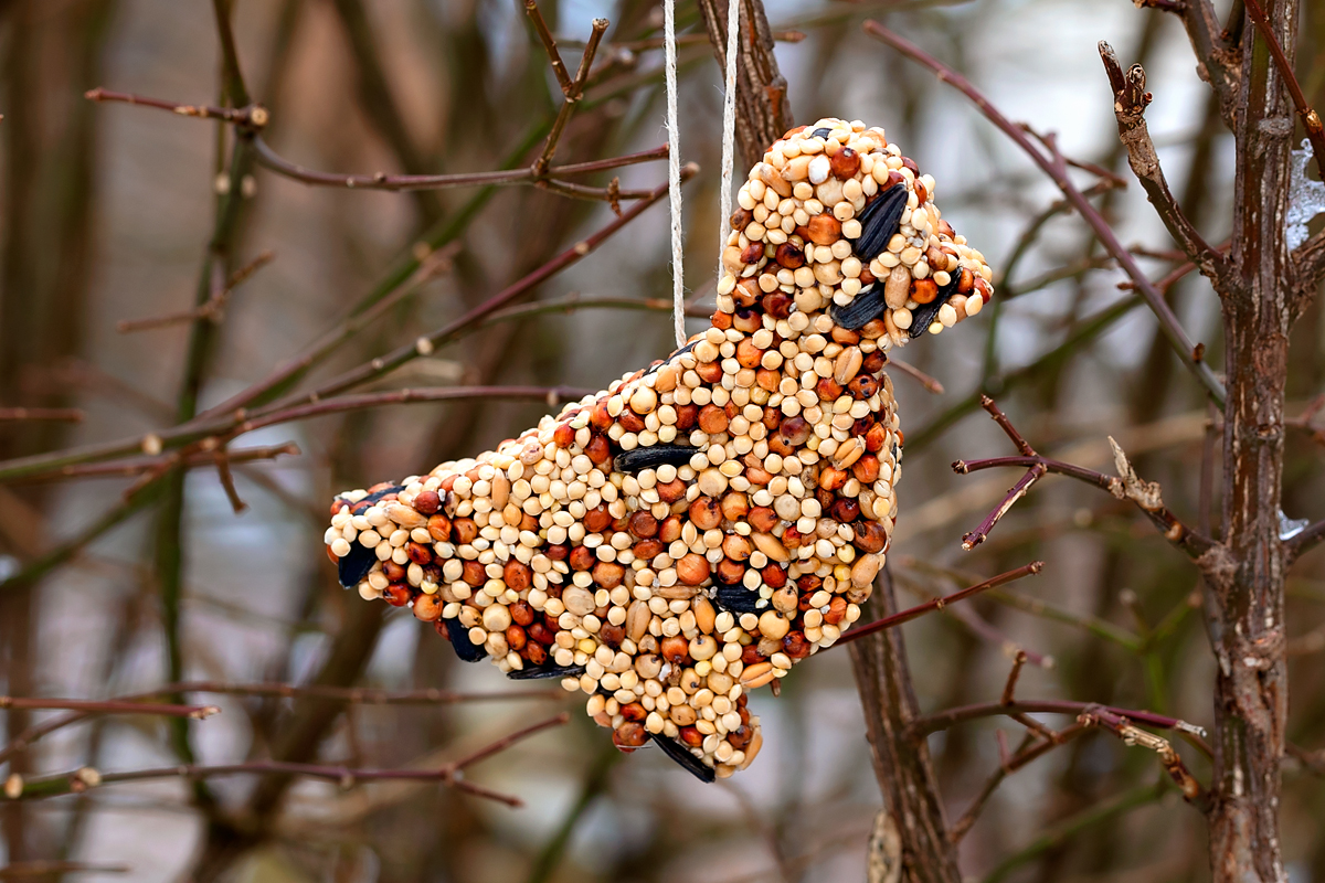 Finished bird-shaped birdseed ornament hanging on a branch.