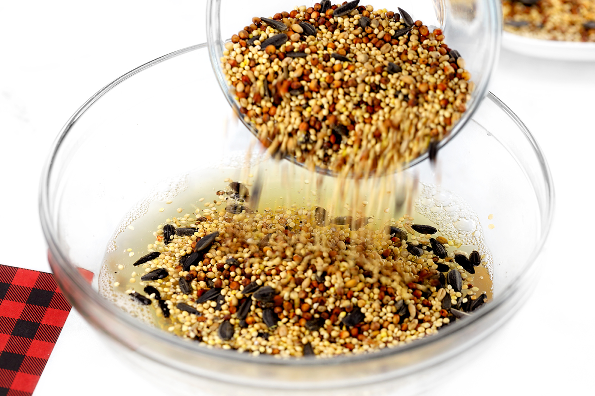 A bowl of gelatin mixture with birdseed being poured in, seeds beginning to coat evenly.
