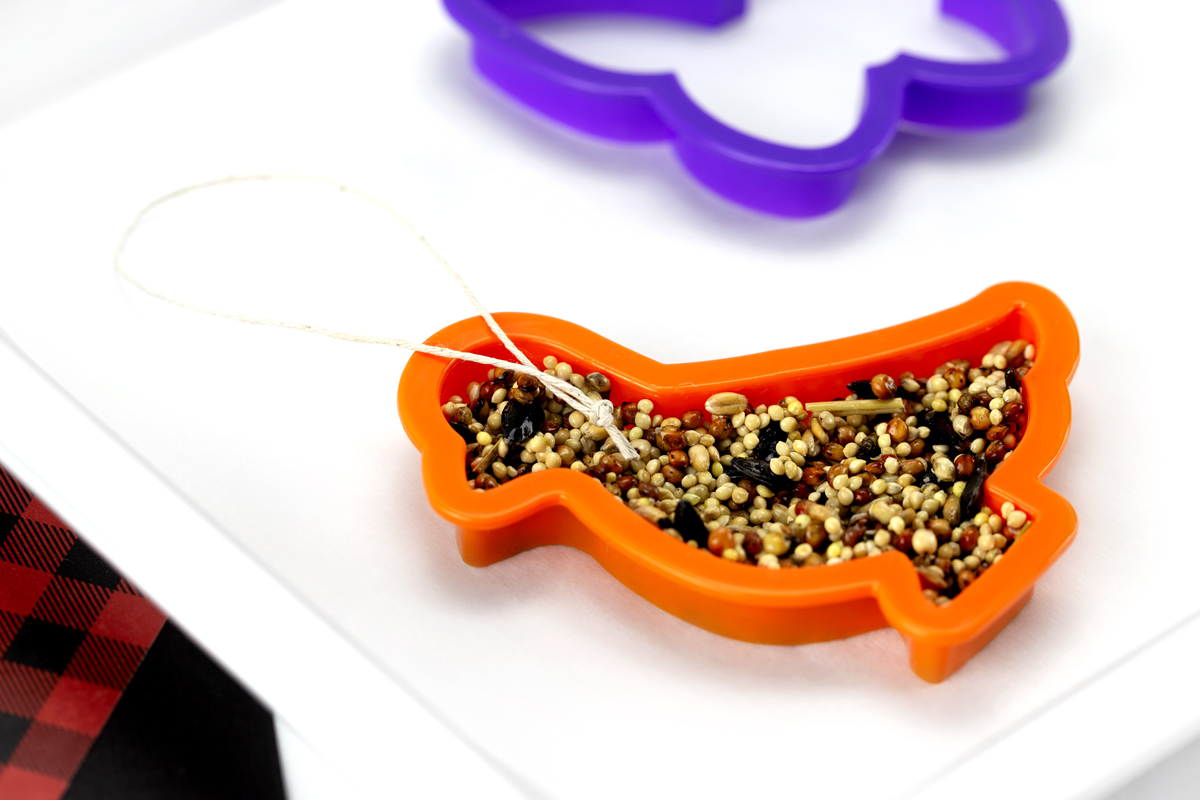A piece of hemp twine tied into a loop and pressed into the center of the birdseed mixture in a cookie cutter.