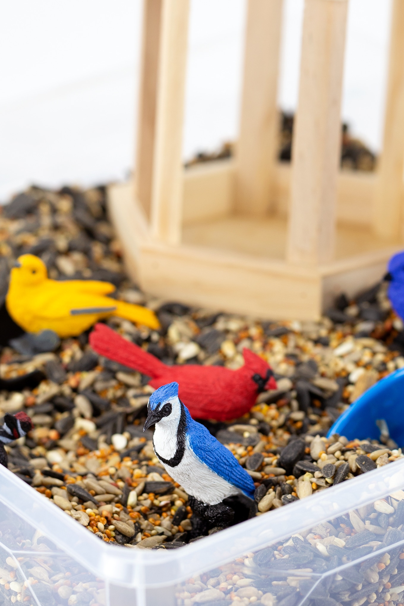 Bird Sensory Bin Fireflies and Mud Pies