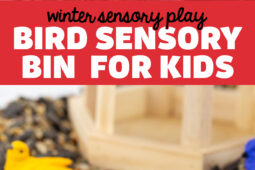 Pinterest Hidden Image