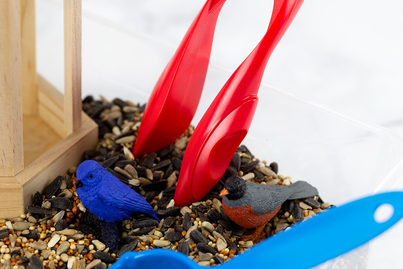 Red Tweezers and Toy Birds in Sensory Bin