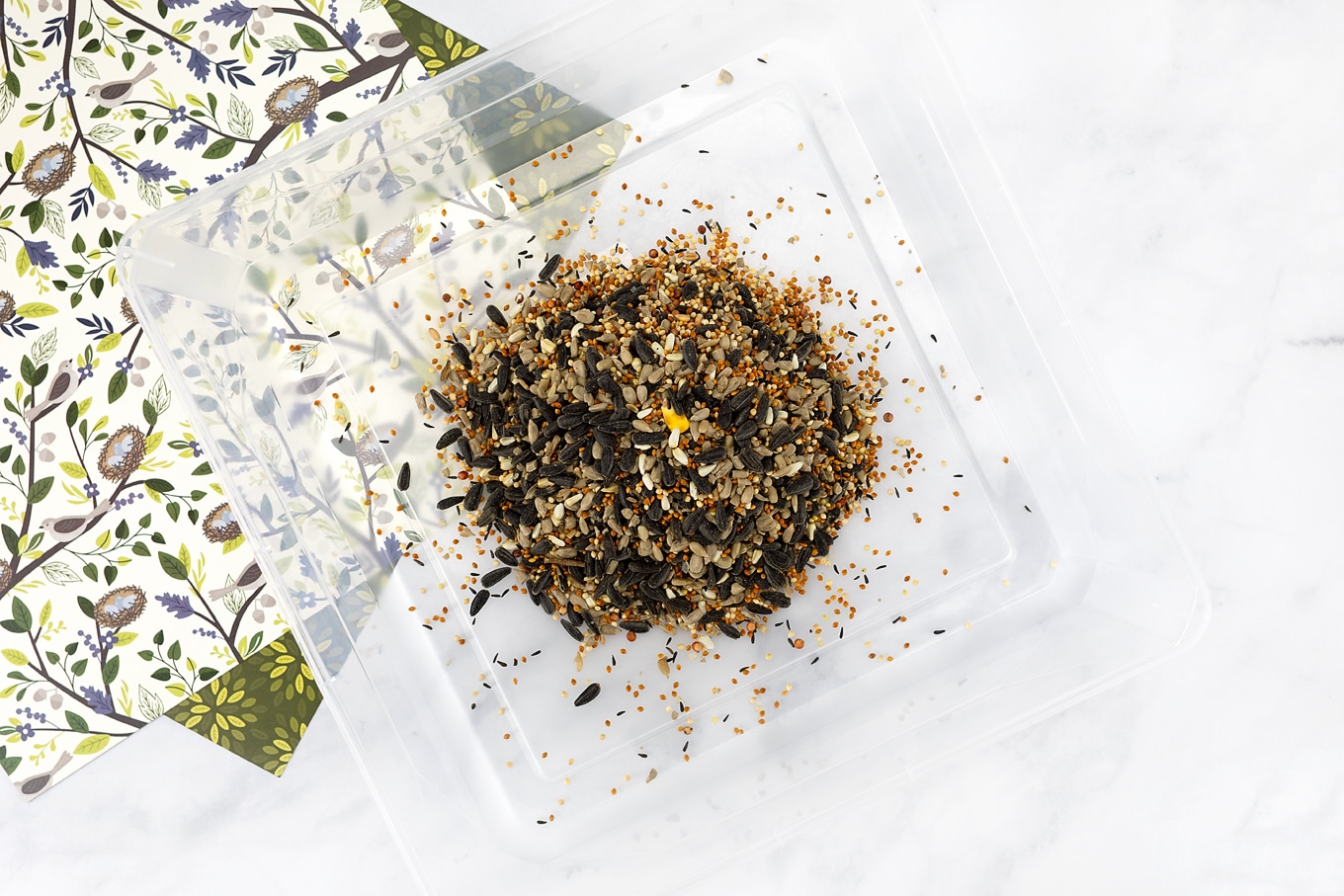 Birdseed in a Sensory Bin