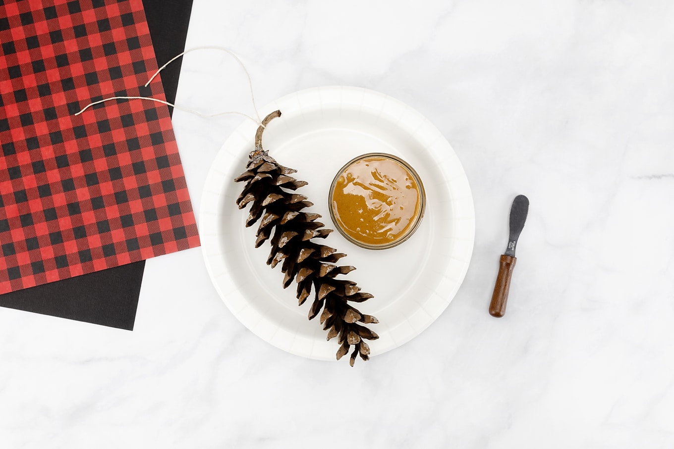 How to Make a Pine Cone Bird Feeder