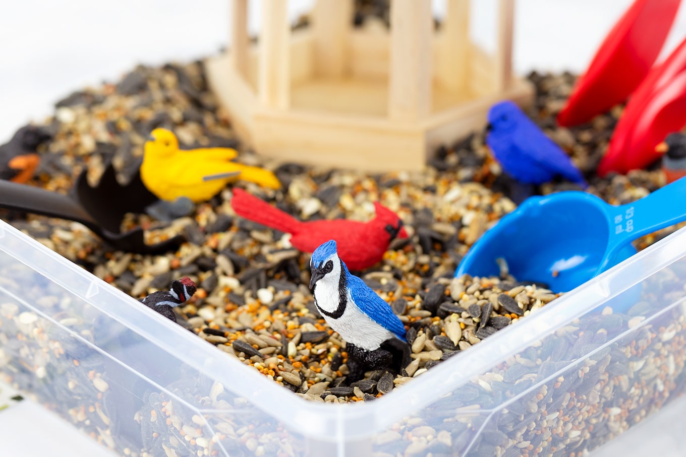 bird toys for toddlers