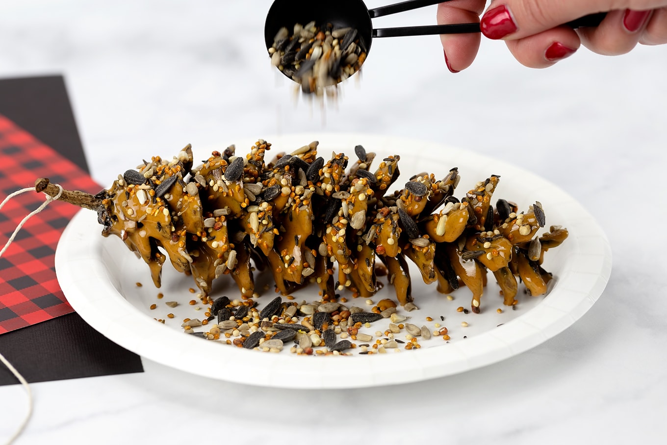Birdseed on Peanut Butter Pine Cone 