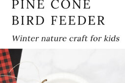 Pinterest Hidden Image