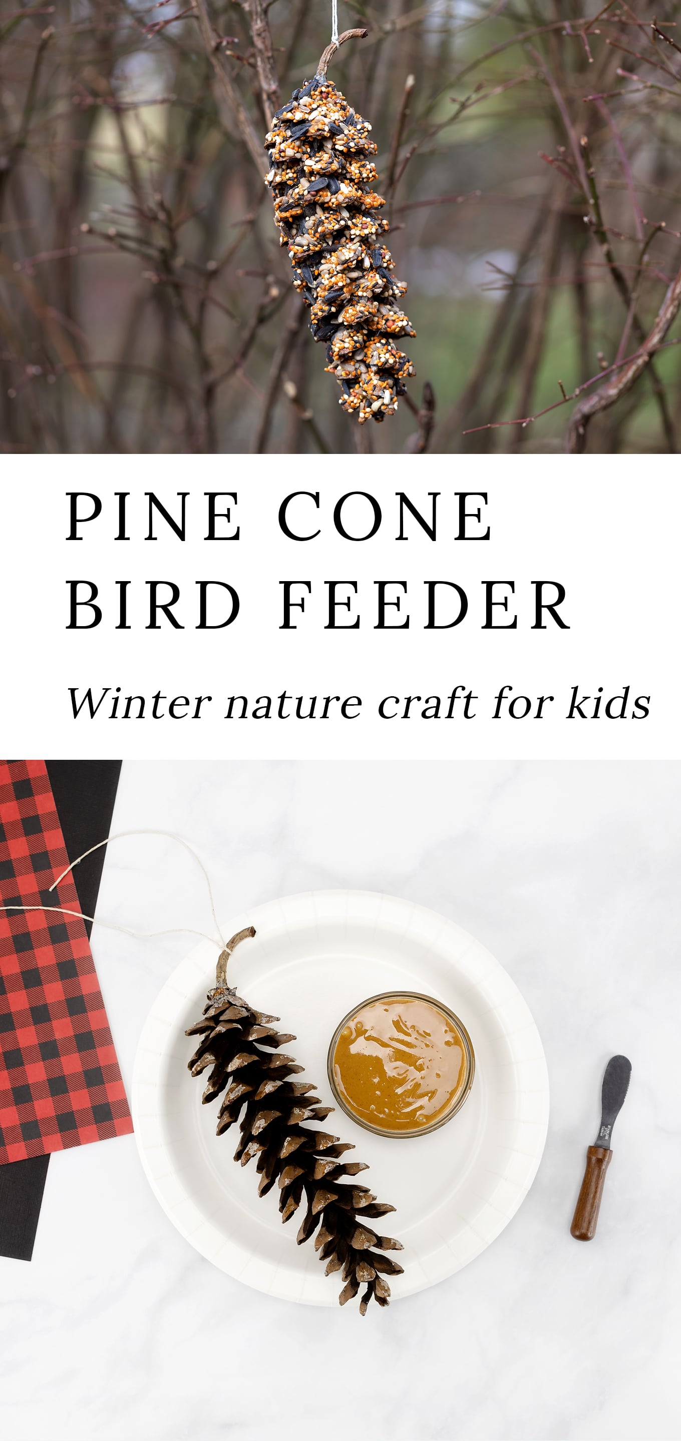 Pinterest Hidden Image