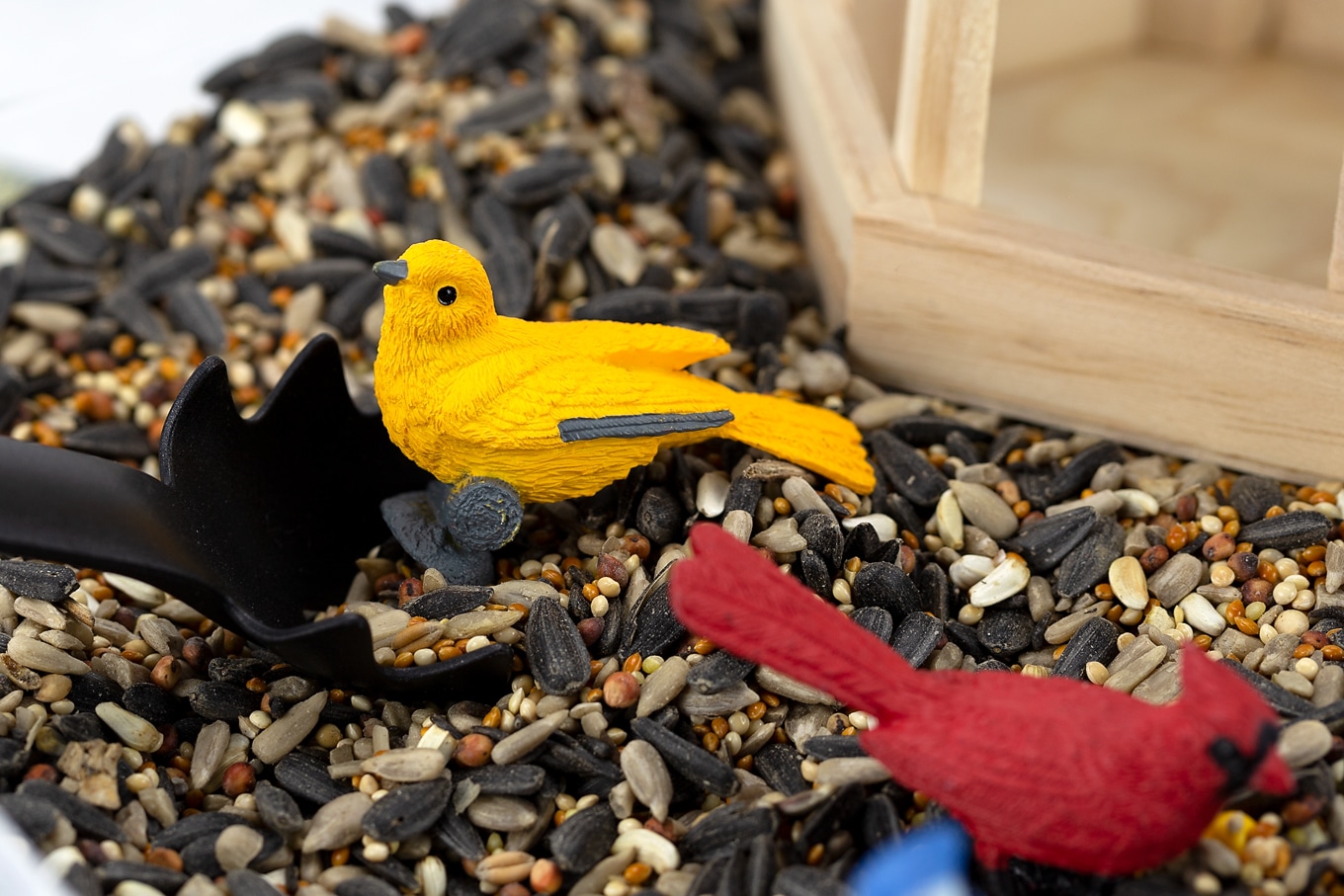 Yellow and Red Birds in a Birdseed Sensory Bin