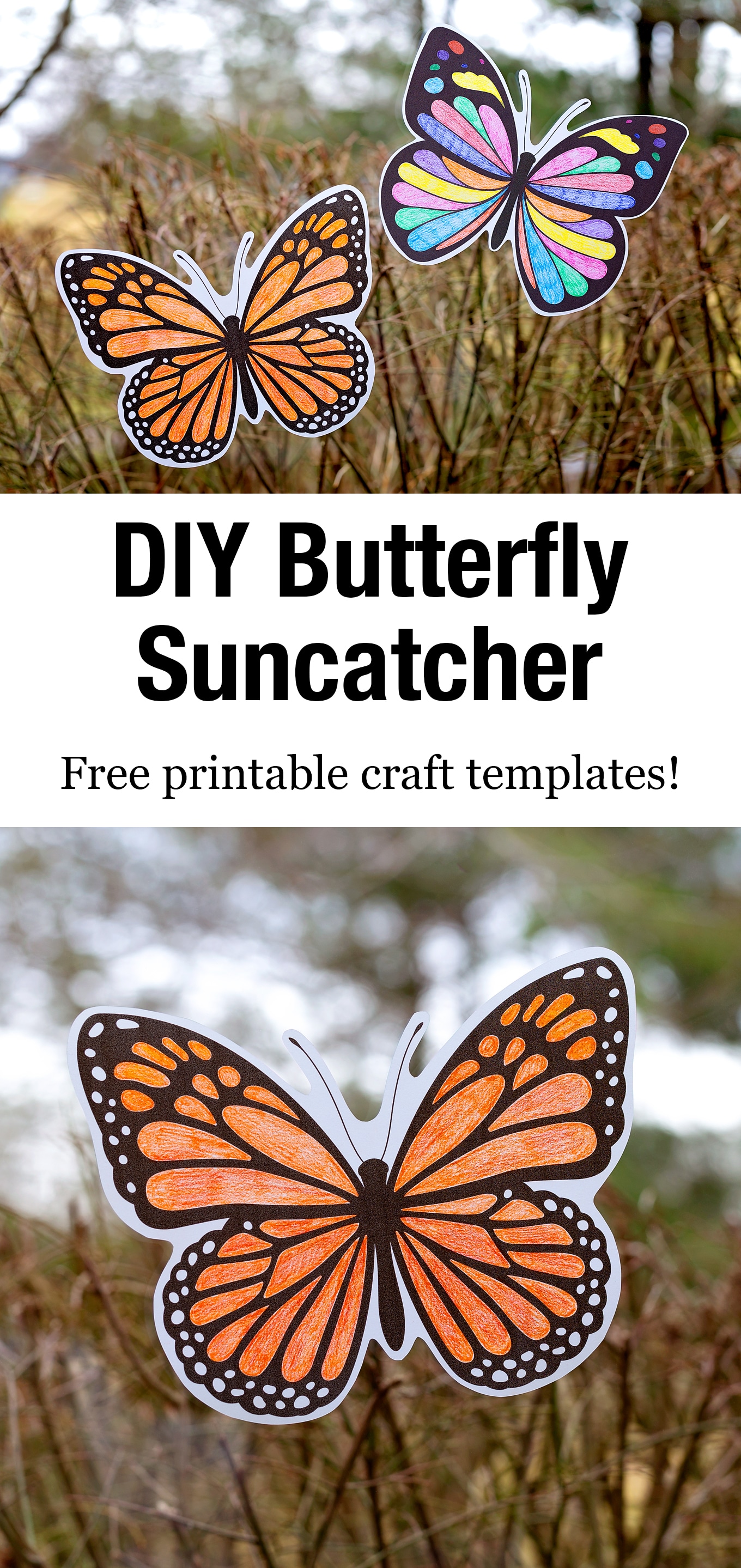 Pinterest Hidden Image