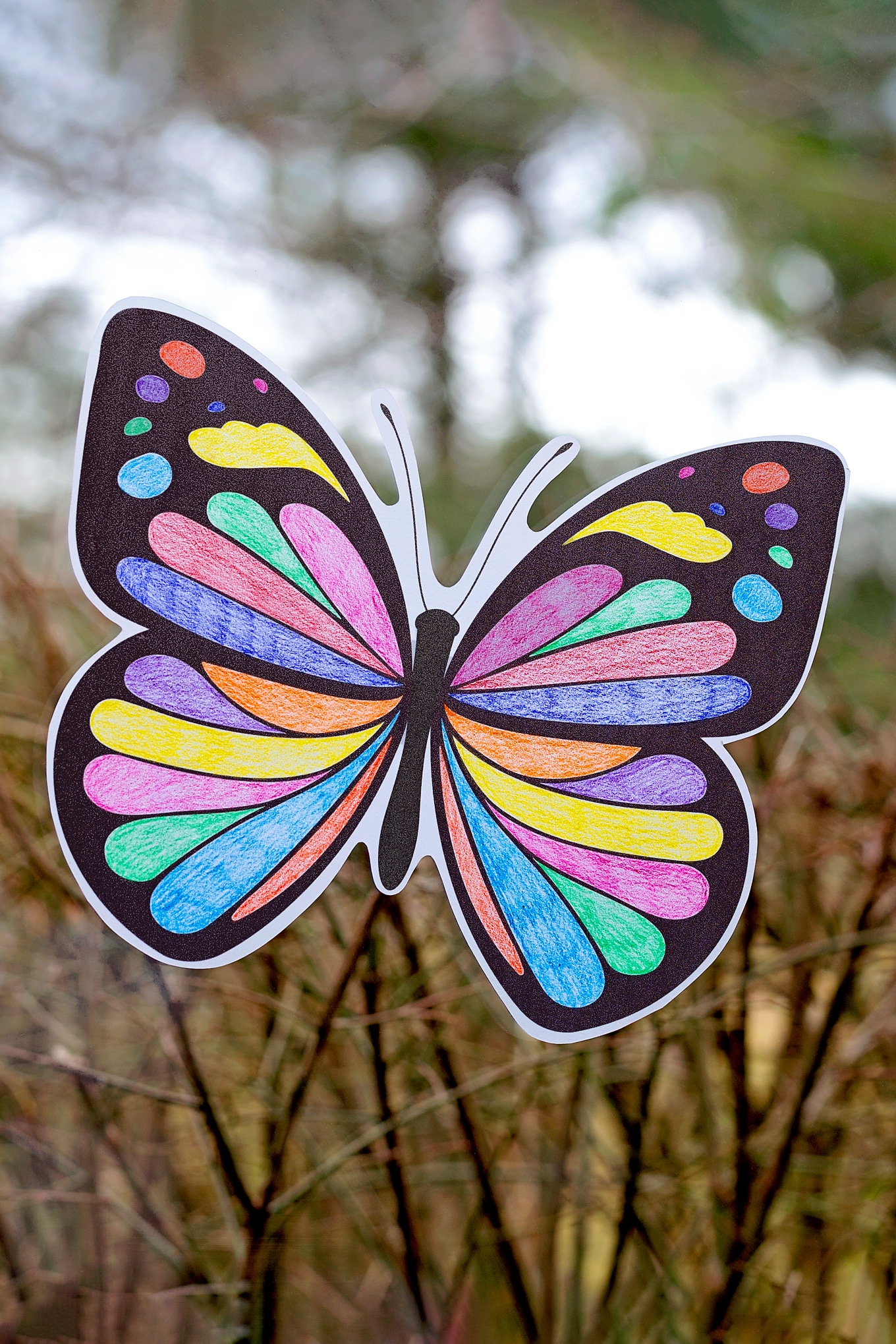 Butterfly Suncatcher Craft Butterfly Suncatcher Craft