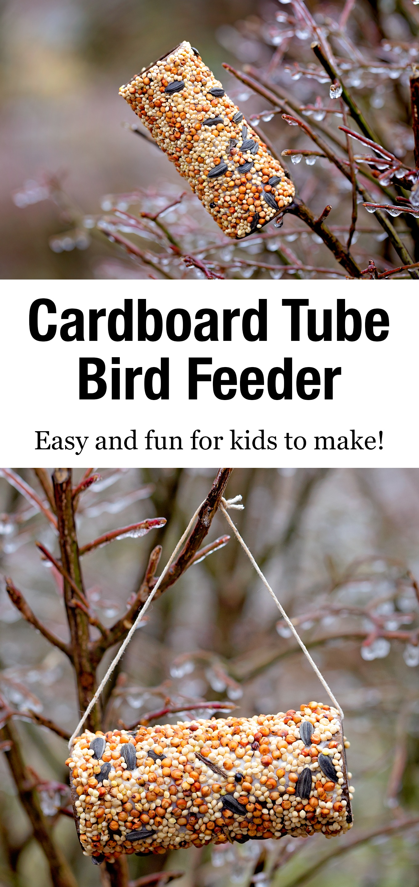 Pinterest Hidden Image