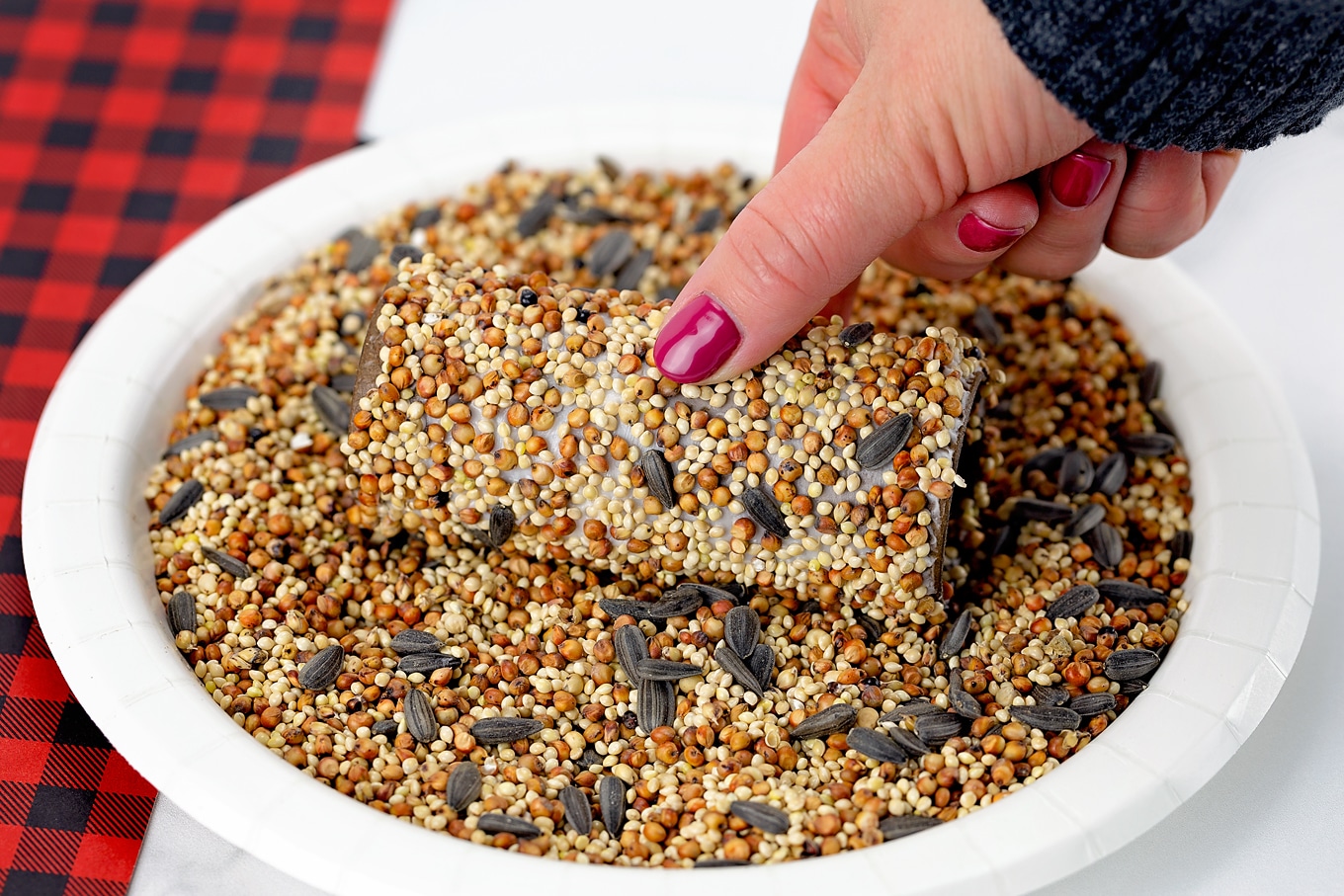 Toilet Paper Roll Bird Feeder In Process Toilet Paper Roll Bird Feeder In Process