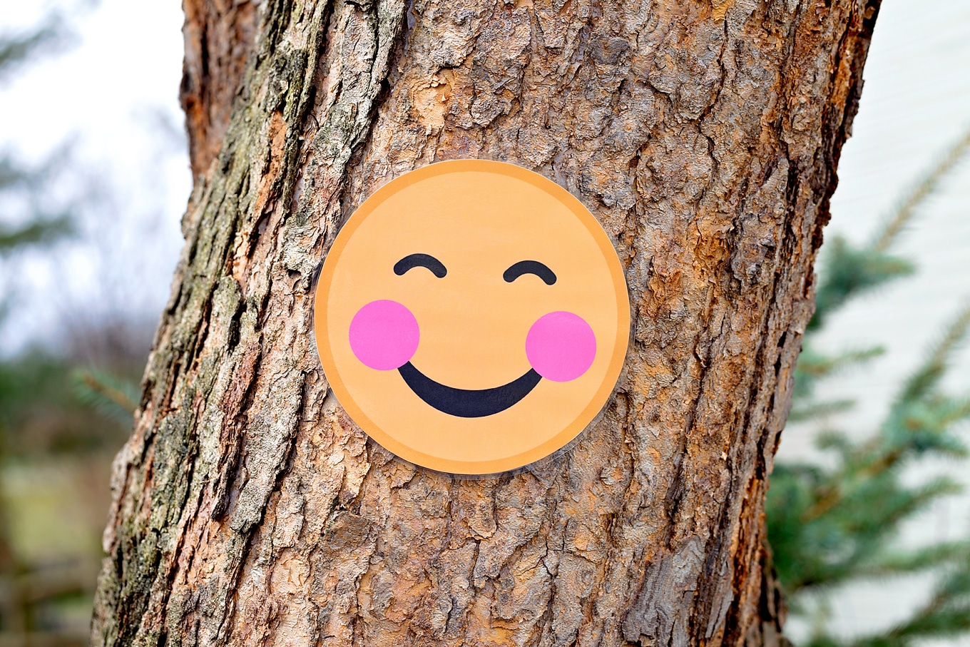 Blushing Emoji on Tree