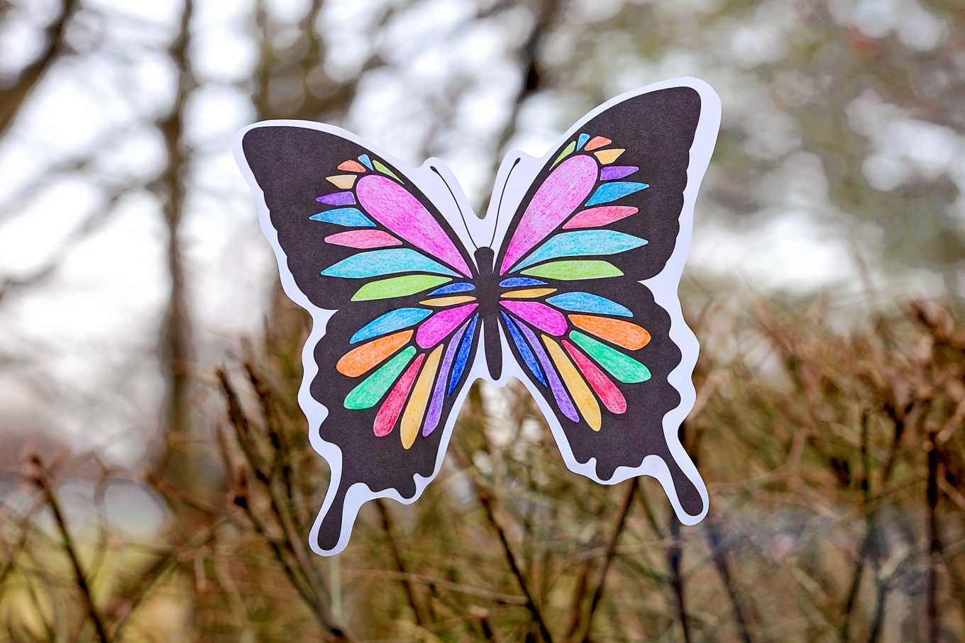 Colorful Butterfly Suncatcher Colorful Butterfly Suncatcher