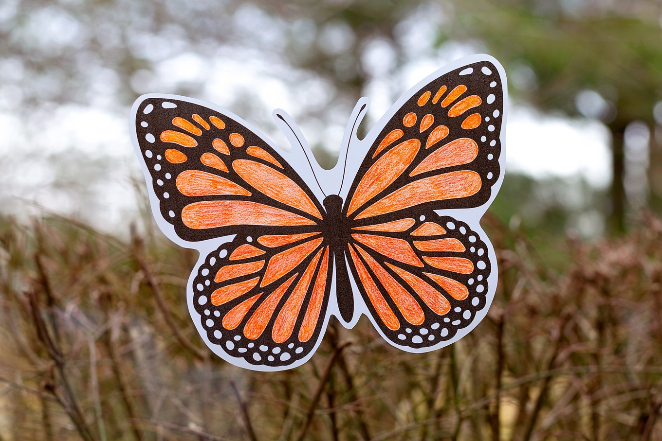 Monarch Butterfly Suncatcher Monarch Butterfly Suncatcher
