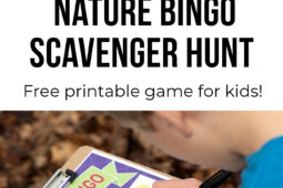 Pinterest Hidden Image