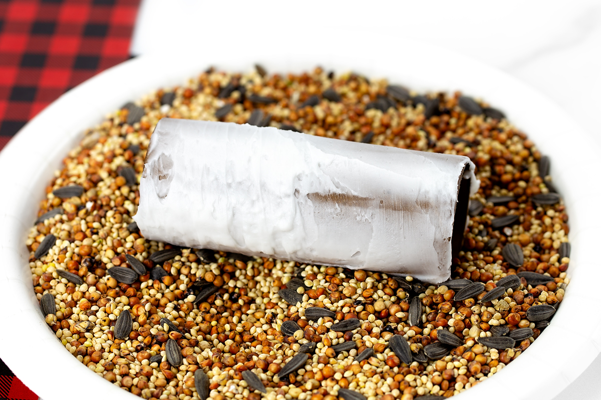 Toilet paper roll with vegetable shortening on it. 