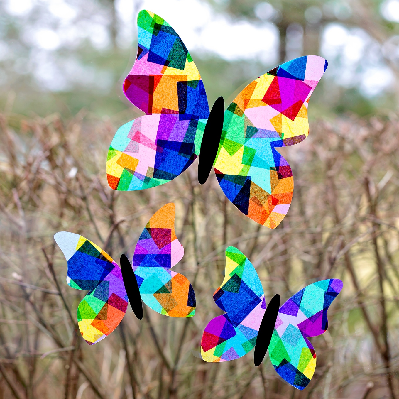 Tissue Paper Butterfly Suncatchers Tissue Paper Butterfly Suncatchers