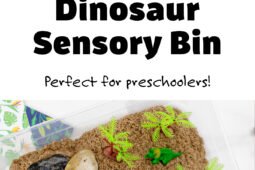 Pinterest Hidden Image