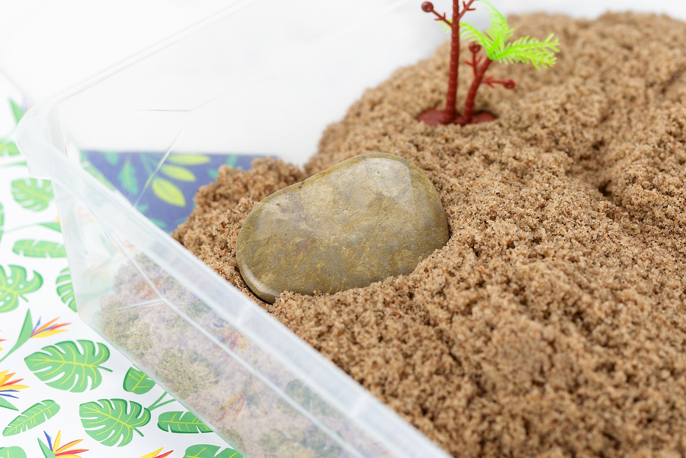 Adding Rocks and Trees to Sensory Bin Adding Rocks and Trees to Sensory Bin