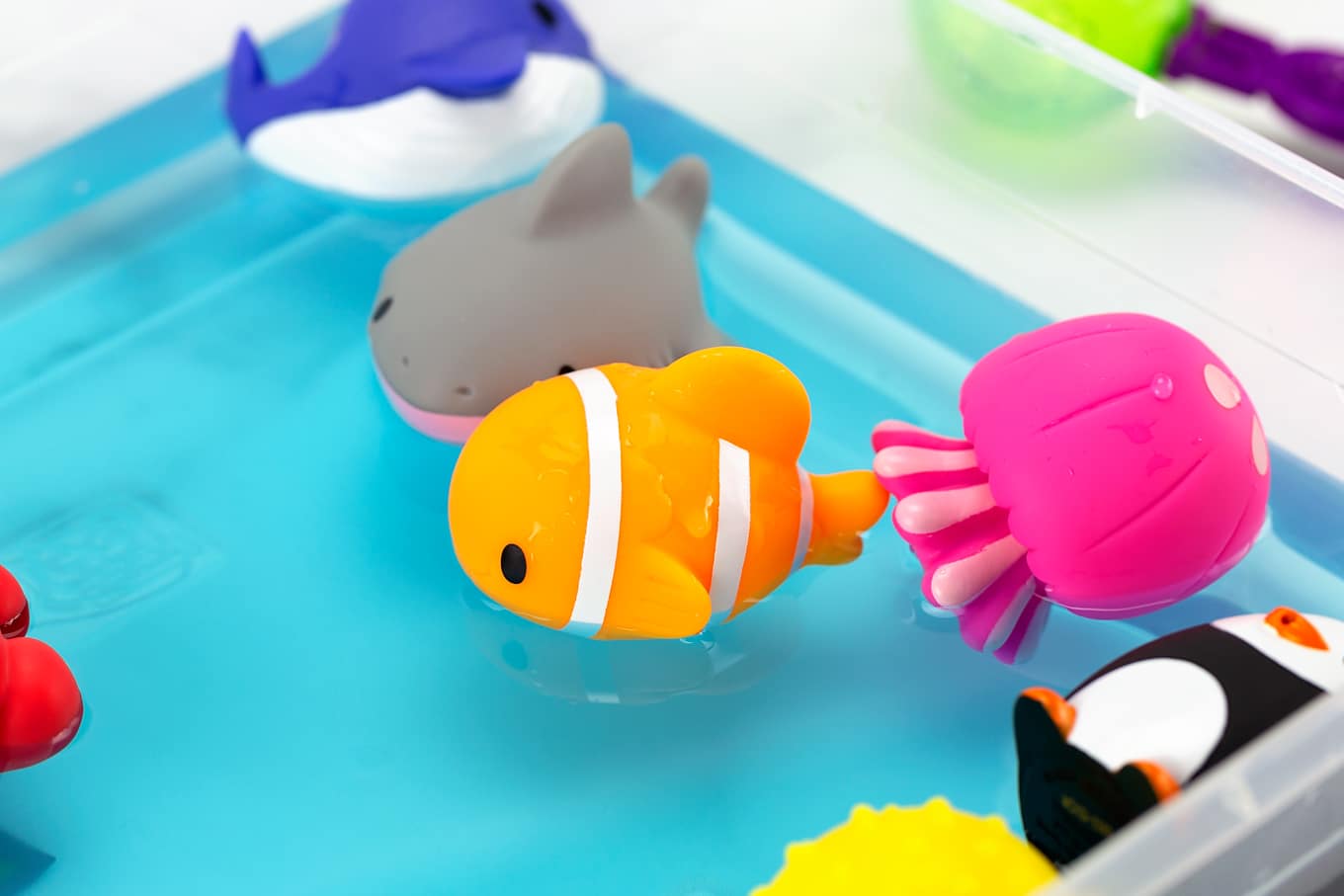 Clown Fish Bath Squirter in a Water Sensory Bin Clown Fish Bathtub Squirter in a Water Sensory Bin