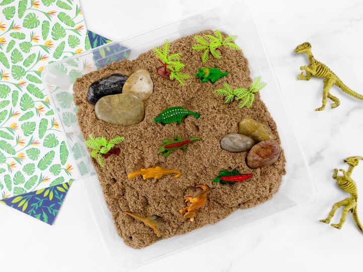 Dinosaur Sensory Bin