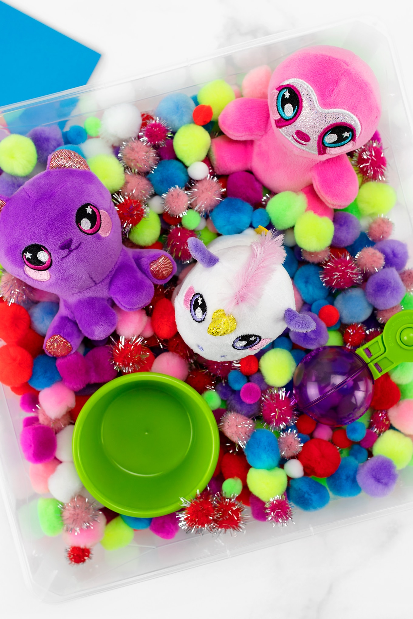 Pom Pom Sensory Bin for Kids